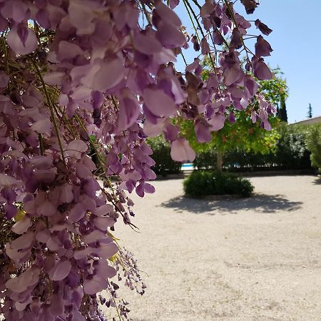 مبيت وإفطار Lagnes La Pastorale المظهر الخارجي الصورة