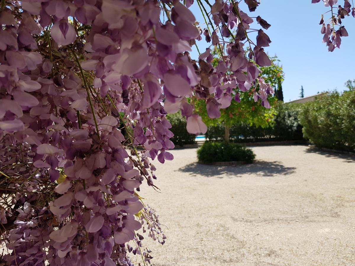 مبيت وإفطار Lagnes La Pastorale المظهر الخارجي الصورة