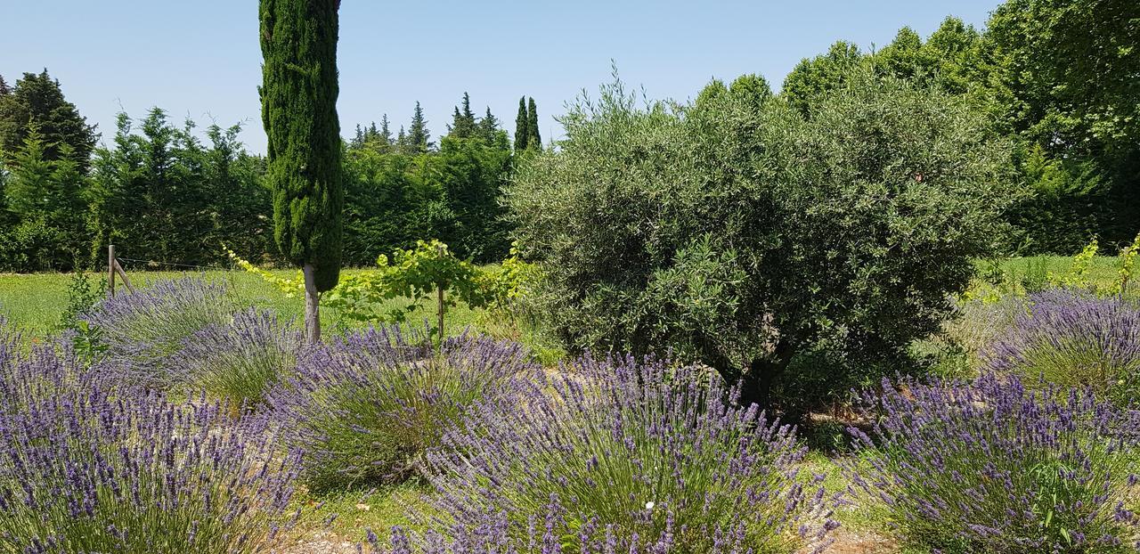 مبيت وإفطار Lagnes La Pastorale المظهر الخارجي الصورة
